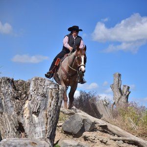 Meet your Posher, Tonia